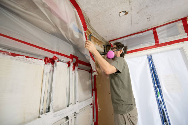 Best Residential Mold Inspection & Testing  in Mokena, IL